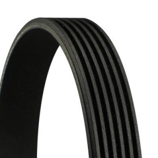 Continental 6PK2080 Pasek klinowy wielorowkowy