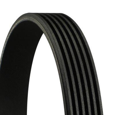 Continental 6PK2080 Pasek klinowy wielorowkowy