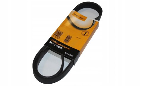 Continental 6PK2080 Pasek klinowy wielorowkowy