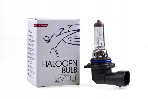 ŻARÓWKI ŻARÓWKA HB4 HALOGEN VW PASSAT B6 POLO
