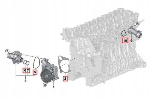 USZCZELKA TERMOSTATU POMPY WODY BMW E46 318 320d USZCZELKA TERMOSTATU POMPY WODY BMW E46 318 320d