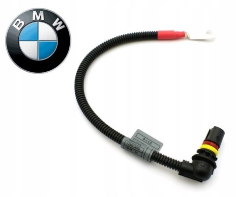 PRZEWÓD STEROWNIK ŚWIEC BMW X3 E83 X5 E53 2.0 3.0d