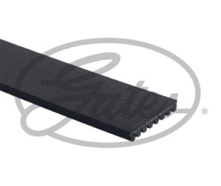 Pasek klinowy wielorowkowy Gates 8PK2625HD