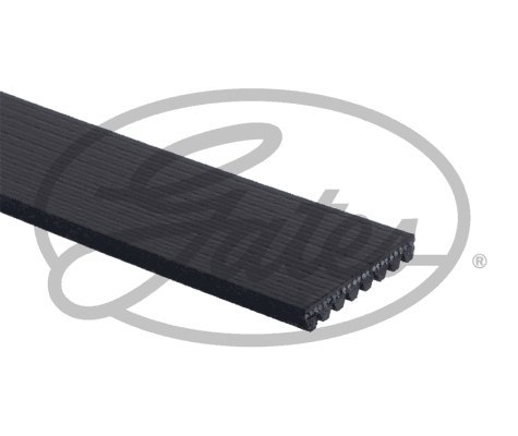 Pasek klinowy wielorowkowy Gates 8PK2625HD Pasek klinowy wielorowkowy Gates 8PK2625HD