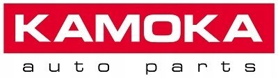 AMORTYZATOR TYŁ TYLNE LEWY PRAWY VW PASSAT B5 3B3 AMORTYZATOR TYŁ TYLNE LEWY PRAWY VW PASSAT B5 3B3